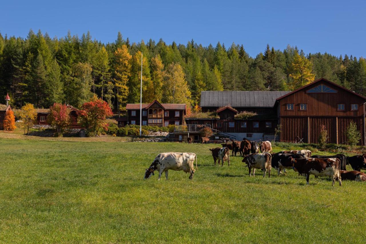 Romenstad Hytter Rendalen Exterior photo